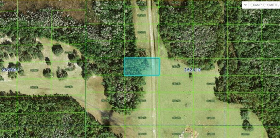 Terrain à Polk City, Floride № 2235110