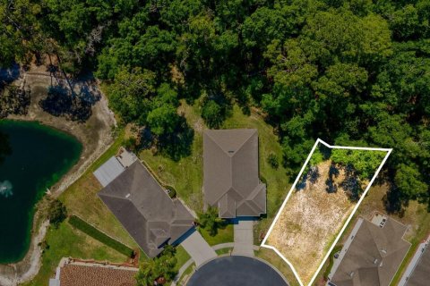 Land in New Port Richey, Florida № 2103217 - photo 2