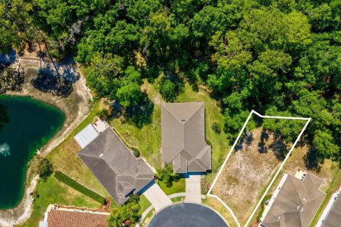 Land in New Port Richey, Florida № 2103217 - photo 3