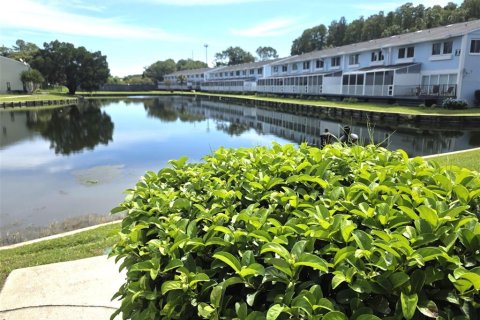 Condo in Lutz, Florida, 5 bedrooms № 2388344