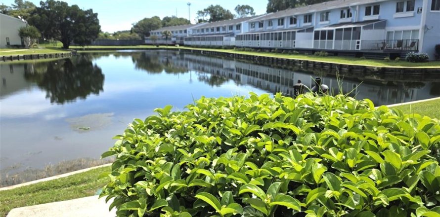 Condo in Lutz, Florida, 5 bedrooms  № 2388344