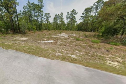 Terrain à Dunnellon, Floride № 2389080