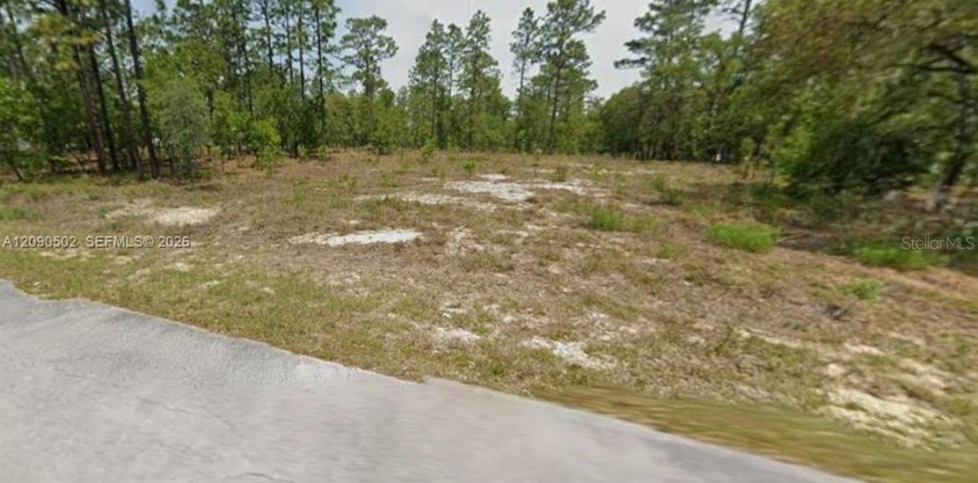 Terrain à Dunnellon, Floride № 2389080