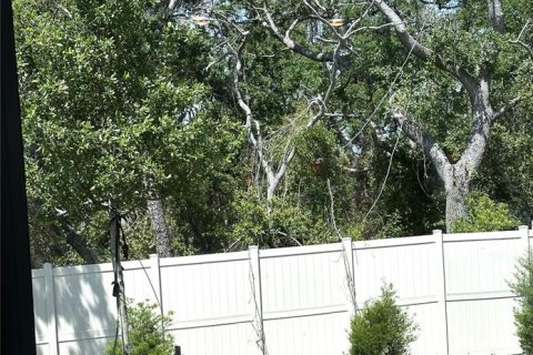 Снять в аренду таунхаус в Палм-Харбор, Флорида 1 комната, 135.92м2, № 1615398 - фото 4