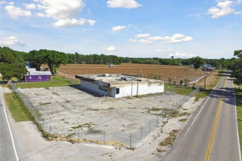 Immobilier commercial à vendre à Plant City, Floride: 512.82 m2 № 1607946 - photo 8