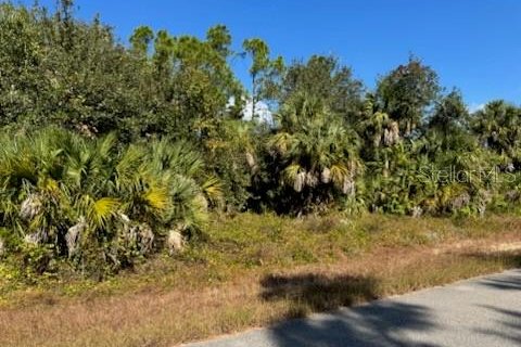 Land in North Port, Florida № 2165410 - photo 4