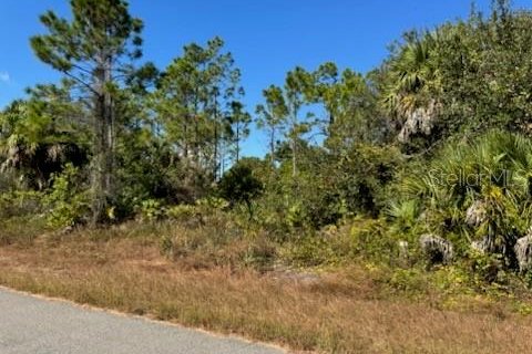 Land in North Port, Florida № 2165410 - photo 2