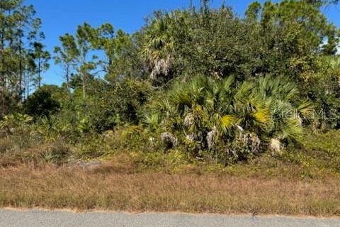 Land in North Port, Florida № 2165410 - photo 3