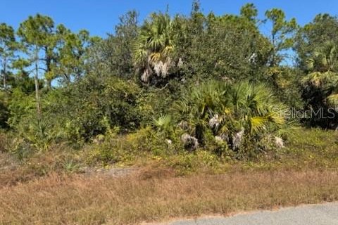 Land in North Port, Florida № 2165410