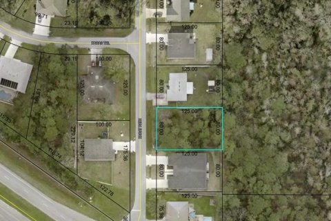 Terreno en venta en Palm Coast, Florida № 1688364 - foto 1