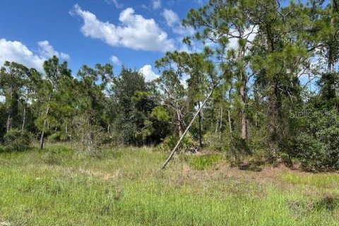 Land in Punta Gorda, Florida № 2165483 - photo 7