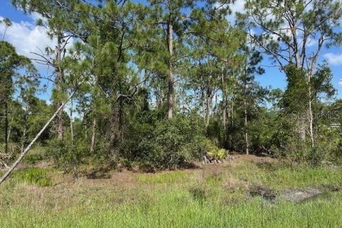 Land in Punta Gorda, Florida № 2165483 - photo 5