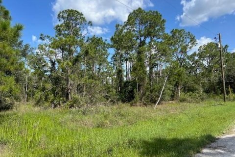 Land in Punta Gorda, Florida № 2165483