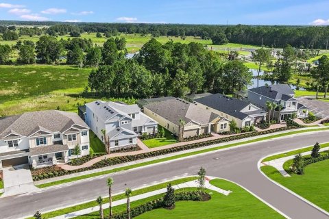 RIVER LANDING in Wesley Chapel, Florida № 206166 - photo 1