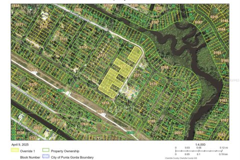 Land in Punta Gorda, Florida № 1719134 - photo 2