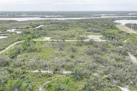 Land in Punta Gorda, Florida № 1719134 - photo 6