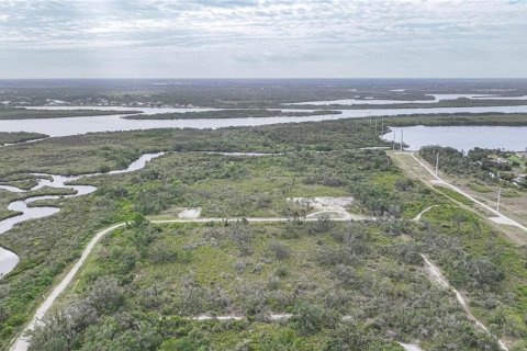 Land in Punta Gorda, Florida № 1719134 - photo 4
