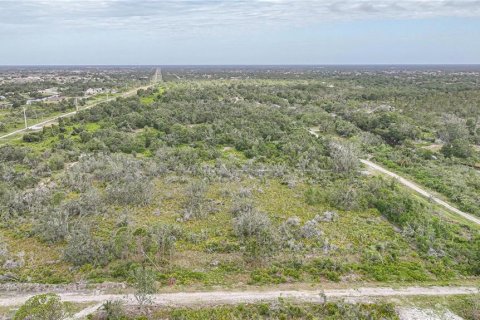 Land in Punta Gorda, Florida № 1719134 - photo 5