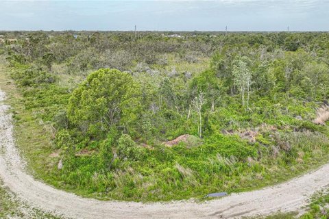 Land in Punta Gorda, Florida № 1719134 - photo 3