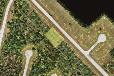 Land in Placida, Florida № 2163259