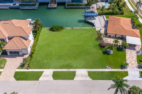 Land in Marco Island, Florida № 1860951 - photo 6