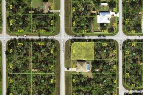 Land in Port Charlotte, Florida № 2239809