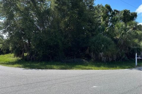 Land in North Port, Florida № 2212080 - photo 5