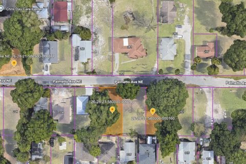 Land in Winter Haven, Florida № 2102258 - photo 7