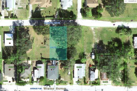 Land in Winter Haven, Florida № 2102258 - photo 11