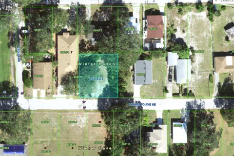 Land in Winter Haven, Florida № 2102258 - photo 9