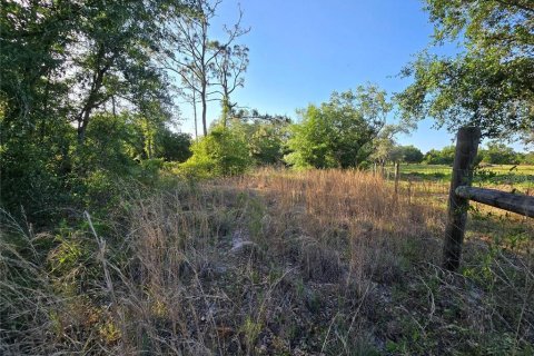 Land in North Port, Florida № 2164061 - photo 5