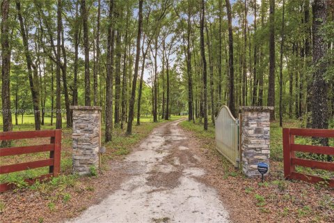 Casa en venta en Gainesville, Florida, 2 dormitorios, 152.73 m2 № 1983635 - foto 10