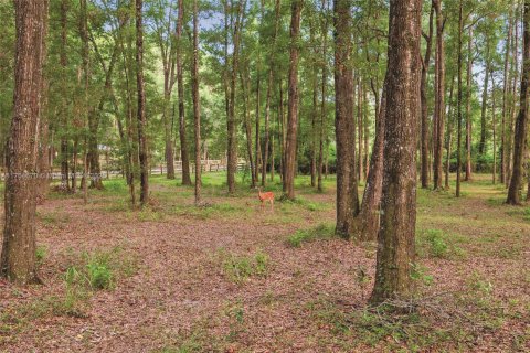 Casa en venta en Gainesville, Florida, 2 dormitorios, 152.73 m2 № 1983635 - foto 19