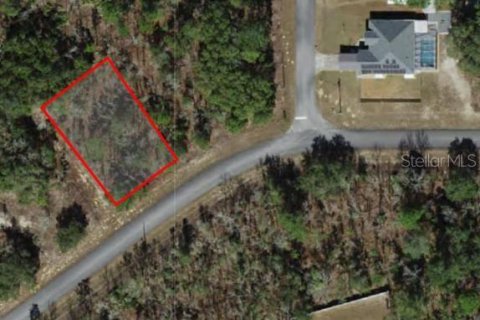 Land in Dunnellon, Florida № 2226971