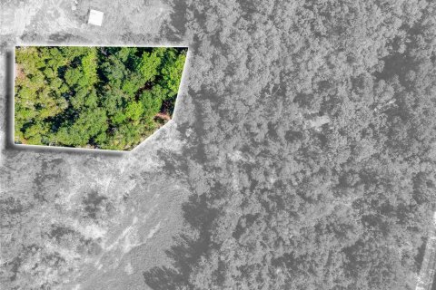 Land in Webster, Florida № 2361114