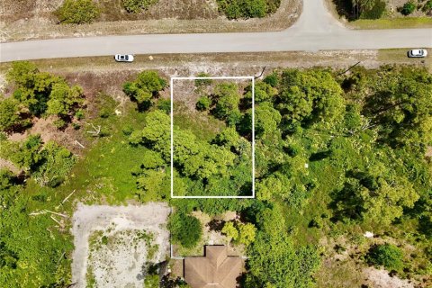 Land in Lehigh Acres, Florida № 2221207