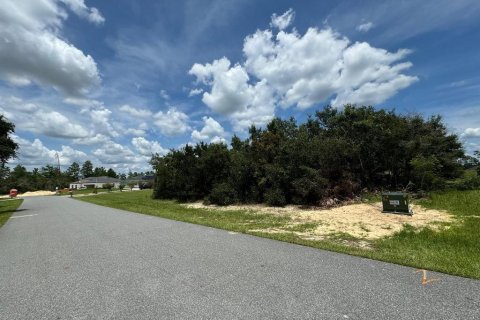 Land in Ocala, Florida № 1523088 - photo 2