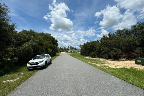 Land in Ocala, Florida № 1523088 - photo 4