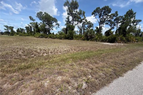 Land in Placida, Florida № 2196171 - photo 3