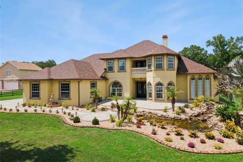 Villa ou maison à vendre à Plant City, Floride: 4 chambres, 366.22 m2 № 2231777 - photo 4