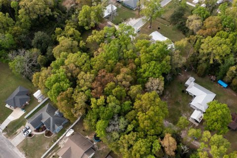 Terreno en venta en High Springs, Florida № 2165307 - foto 12