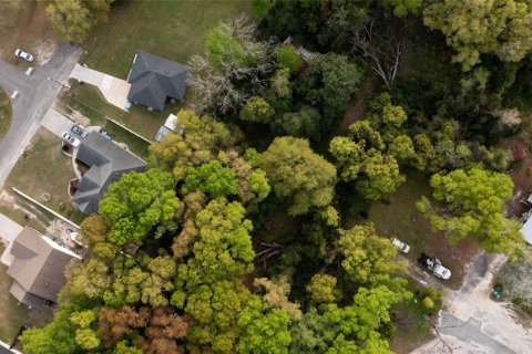 Terreno en venta en High Springs, Florida № 2165307 - foto 10
