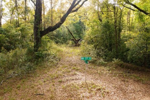 Terreno en venta en High Springs, Florida № 2165307 - foto 3