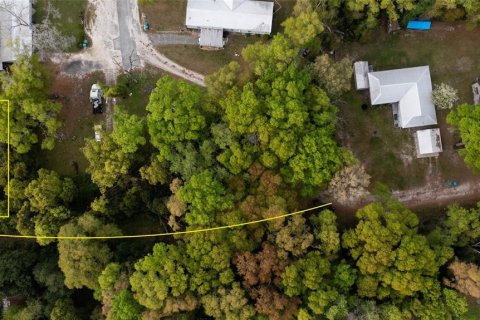 Terreno en venta en High Springs, Florida № 2165307 - foto 2