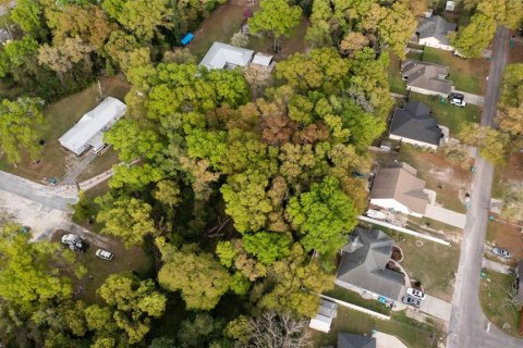Terreno en venta en High Springs, Florida № 2165307 - foto 13