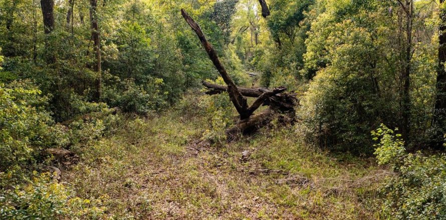 Terreno en High Springs, Florida № 2165307