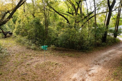 Terreno en venta en High Springs, Florida № 2165307 - foto 4