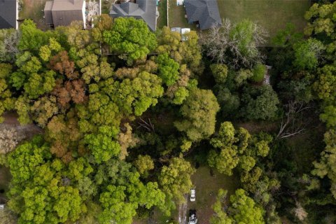 Terreno en venta en High Springs, Florida № 2165307 - foto 11
