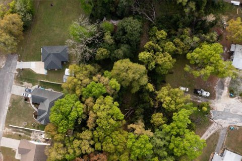 Terreno en venta en High Springs, Florida № 2165307 - foto 9