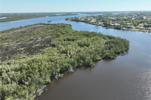 Land in Punta Gorda, Florida № 2160004